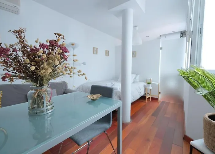 Triana Estudio